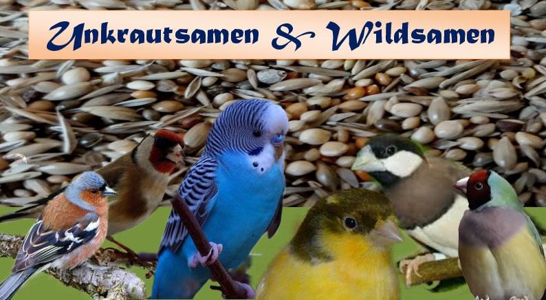 Wildsamen - Unkrautsamen - Gesundheitssamen